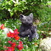 Cherie Lewis Photo 10