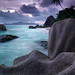 Michael Paradise Photo 10