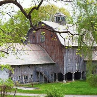 Heidi Ellis Photo 8