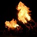 Patrick Colvin Photo 19