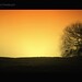 Bob Semple Photo 9
