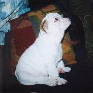 Pamela Mitchell Photo 30