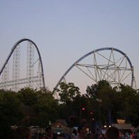 Lynn Shrader Photo 5