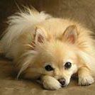 Sherry Spencer Photo 31