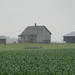 Vicki Reinhardt Photo 15