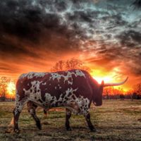 Beth Jacobson Photo 23