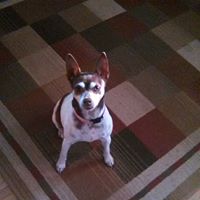 Cynthia Doherty Photo 8