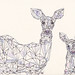 Crystal Deer Photo 5