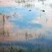Billy Marsh Photo 17