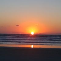 Judy Kent Photo 7