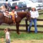 Wanda Lester Photo 23