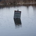 Bruce Macleod Photo 23