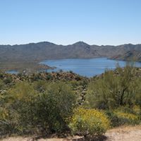 Craig Strand Photo 28
