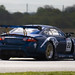 Bradley Ellis Photo 14