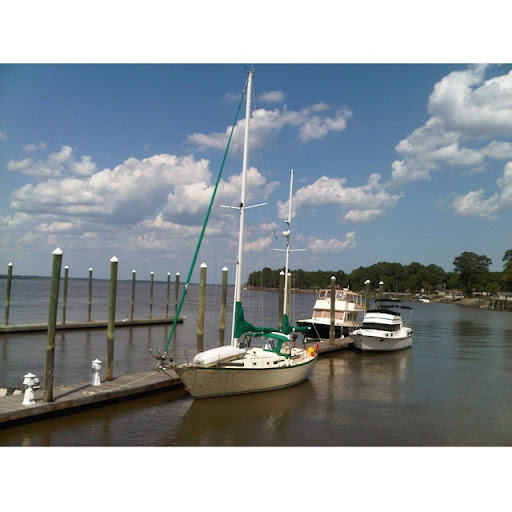 Debra Adkins Photo 27