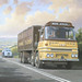 Mike Tipper Photo 1