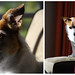 Sammie Brown Photo 36