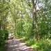 Laurie Wood Photo 16