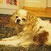 Victoria Murphy Photo 35