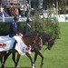 Geoff Whitaker Photo 7
