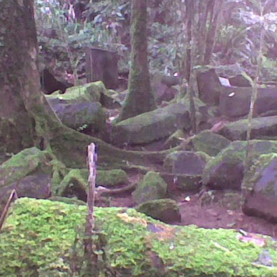 Dedi Mulyana Photo 12