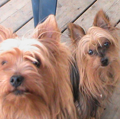 Colleen Oliver Photo 26