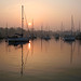 Stephen Elson Photo 11