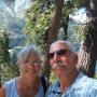 Carol Harvey Photo 33
