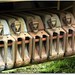 Jerry Waters Photo 31