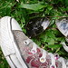 Ray Converse Photo 10
