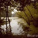 Deborah Needham Photo 14