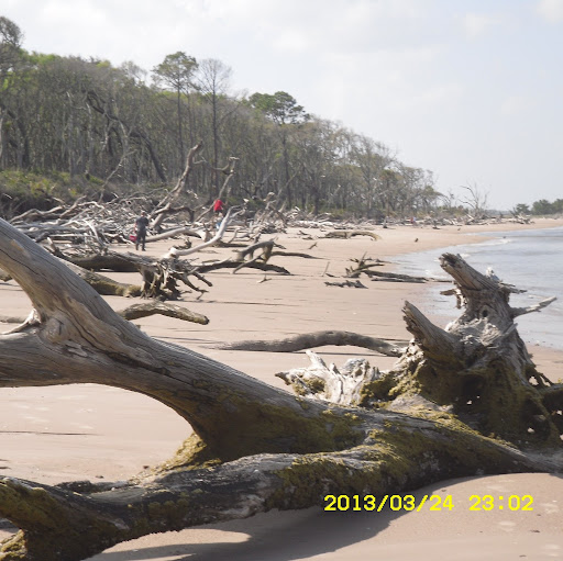 Melissa Tompkins Photo 25