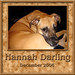 Hannah Darling Photo 32