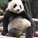 Yuan Lin Photo 25
