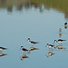 Don Ulrich Photo 22