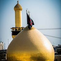 Syed Zafar Photo 40