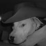 Donnie Lynch Photo 26
