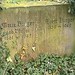 Marie Pfeffer Photo 7