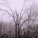 Joshua Frost Photo 15
