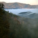 Bill Crabtree Photo 3