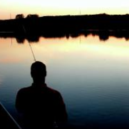 Tony Langley Photo 33