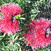 Lynne Hope Photo 9