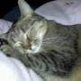 Nancy Yeager Photo 26