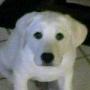 Tracy Darby Photo 18