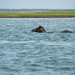 Richard Shackleford Photo 6