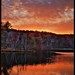 Allen Hartman Photo 16