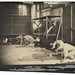 Francis Davis Photo 24