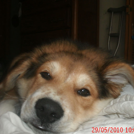 Leif Erickson Photo 40