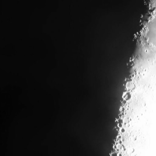 Lucas Webb Photo 24