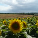 Dan Bain Photo 24